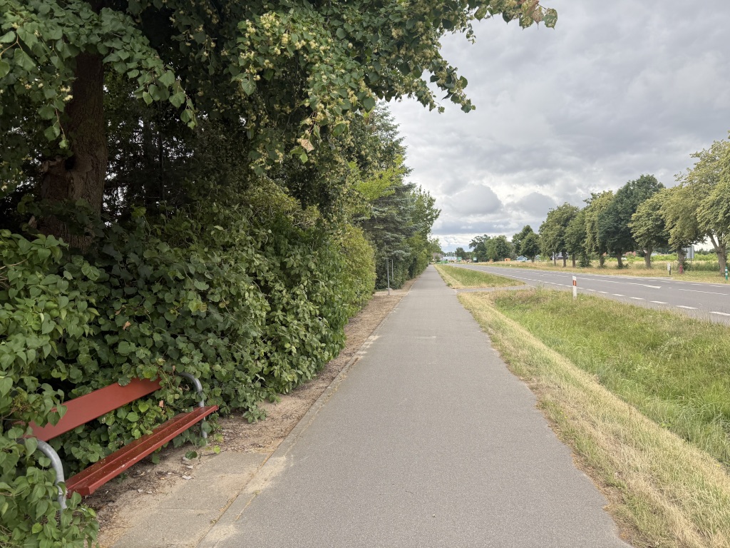 Ścieżka rowerowo/piesza Wrzosowo-Dziwnówek